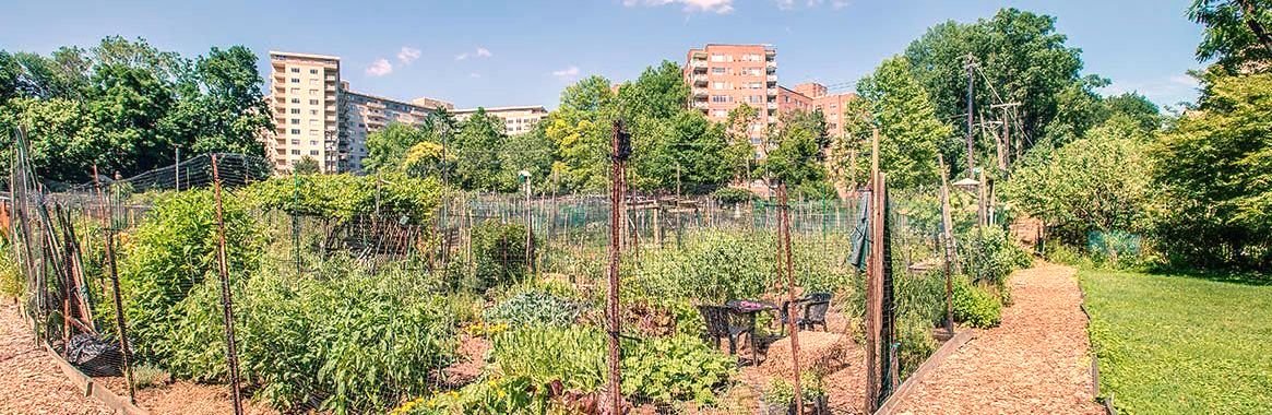 the Glover Park Community Garden located in Washington, D.C.