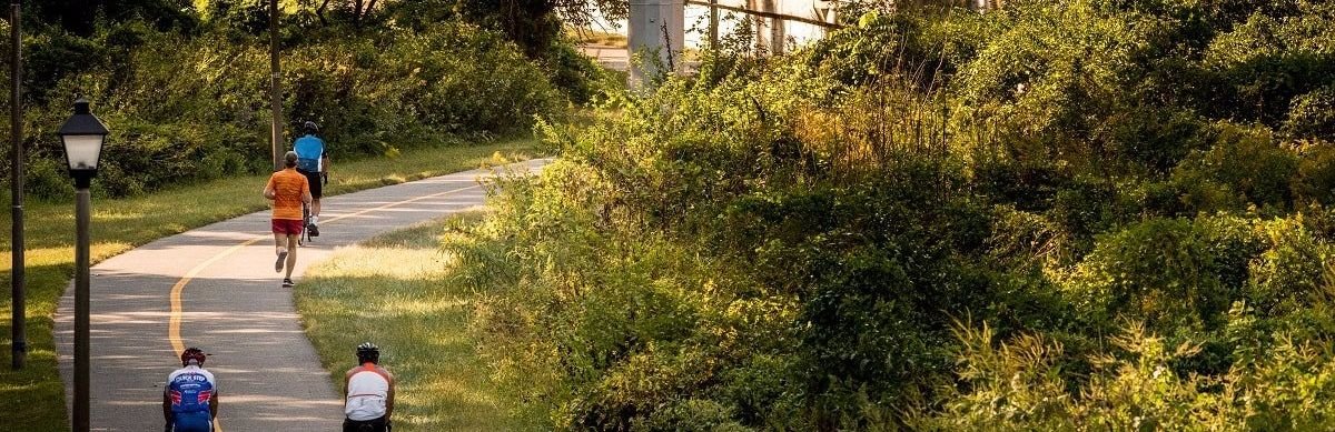 paved trail in a park with joggers