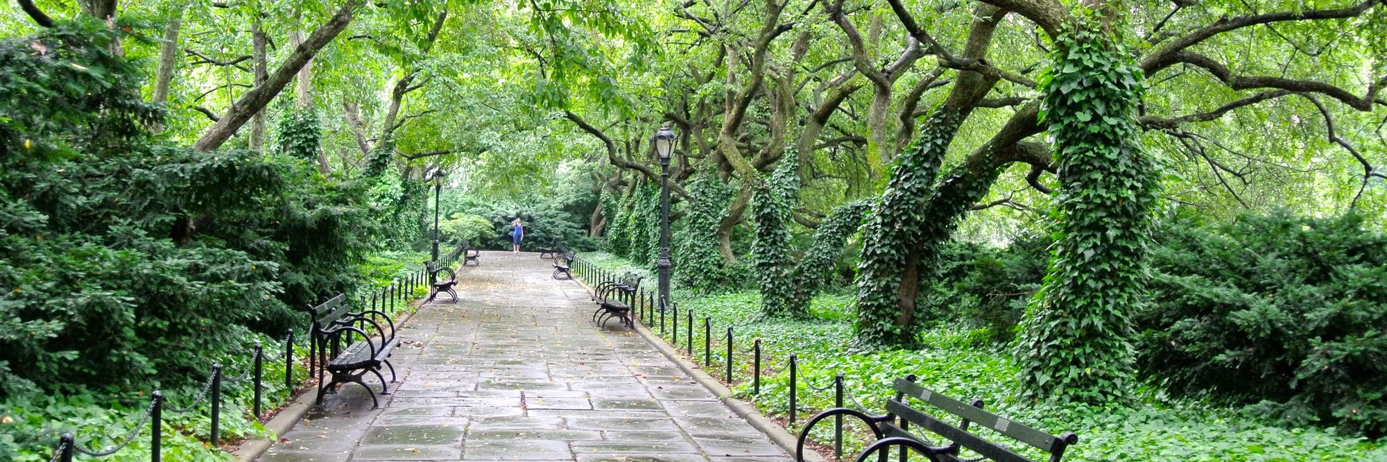 path in a park