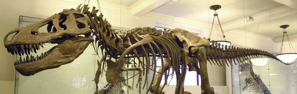 condos for sale near federal triangle