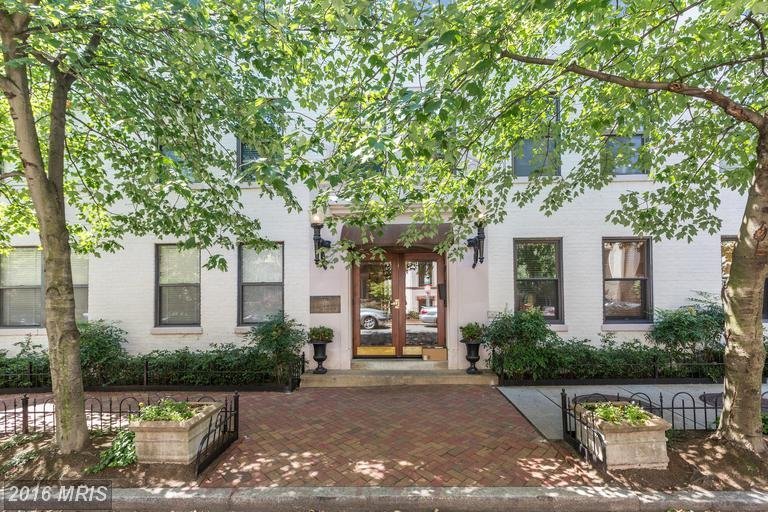 willard conods for sale